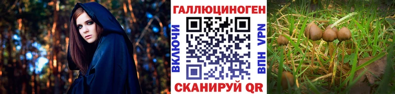 Купить закладки  Спас-Клепики  Галлюциногенные грибы GOLDEN TEACHER 