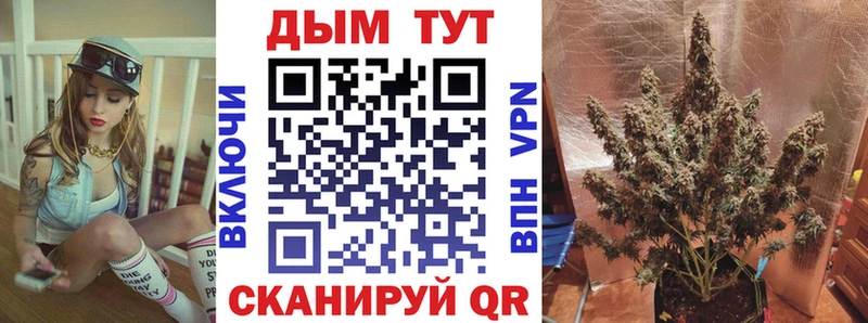 Бошки марихуана THC 21%  Купить закладки  Спас-Клепики 